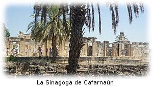 Sinagoga de Cafarnaún
